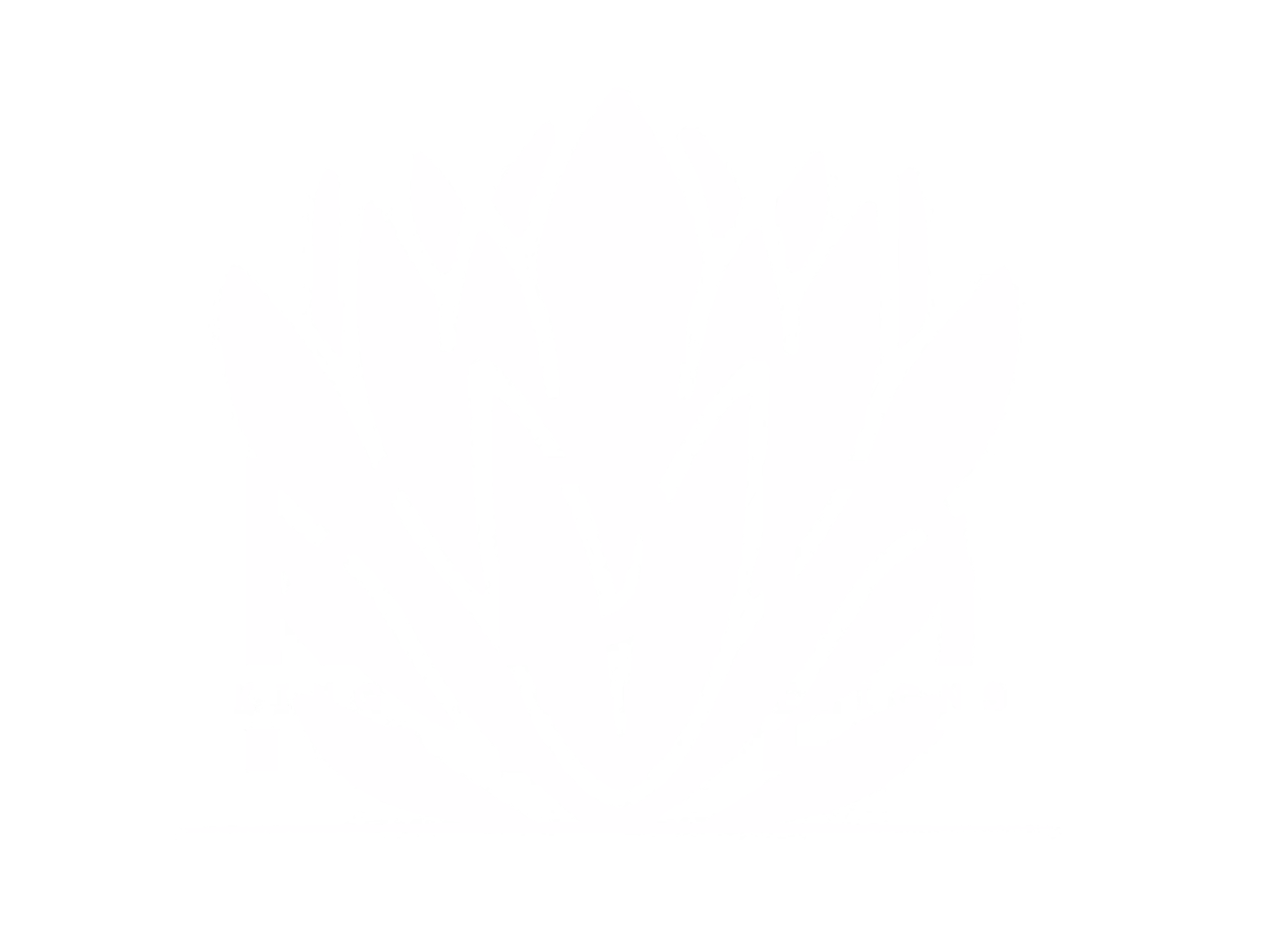 King Protea Designs