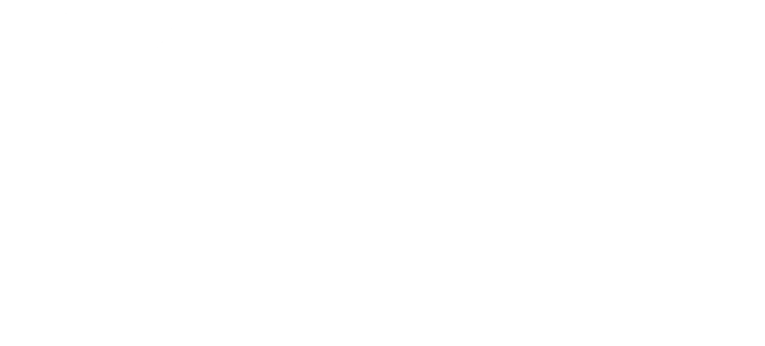 King Protea Designs
